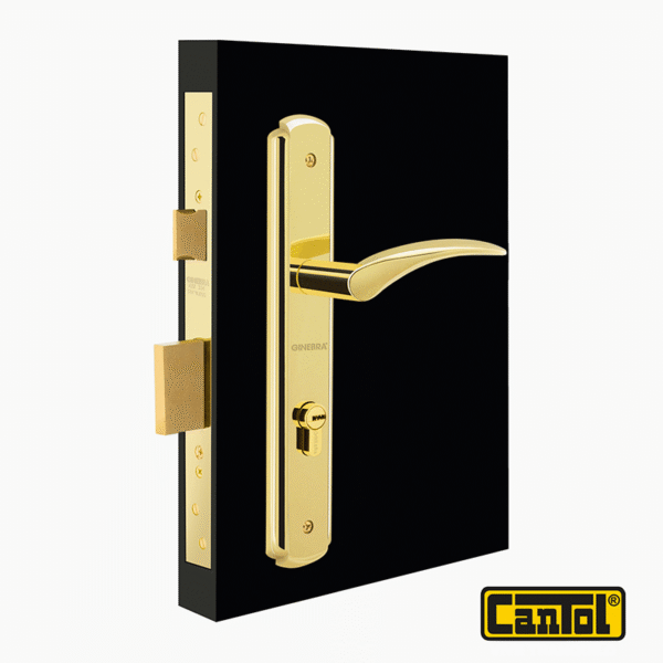 Cerradura de Embutir Principal Moderna Bronce Pulido Cantol